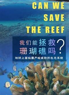 我們能拯救珊瑚礁嗎