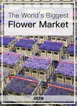 世界上最大的鮮花市場