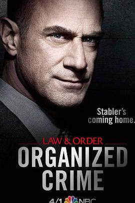 法律與秩序：組織犯罪