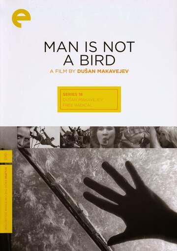 男人非鳥