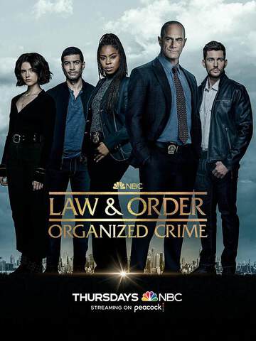 法律與秩序：組織犯罪 3