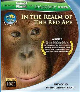 狂野亞洲：赤猿的領地